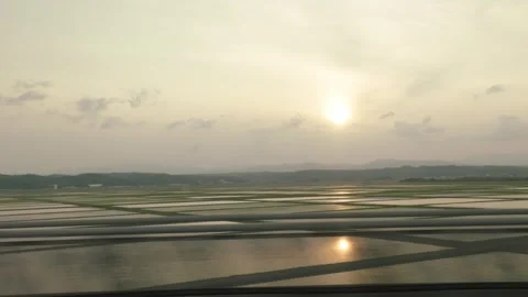 Flooded Rice Fields Sunset View - Moving Train - Japan Stock Footage 340833048