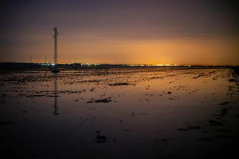 Flooded Rice Fields in Winter at Isla Mayor, Seville, Spain Foto stock