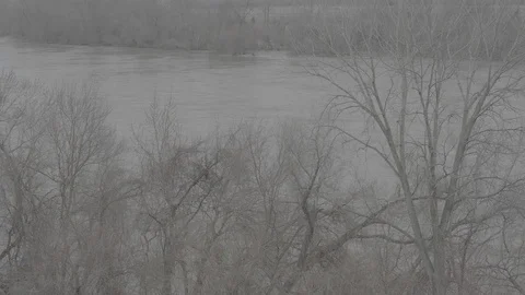 Flooded river and trees Stock Footage 105425556