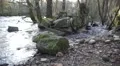 Flooded river around stones from a ruin, filmed a sunny day in autumn in Sweden HD Footage