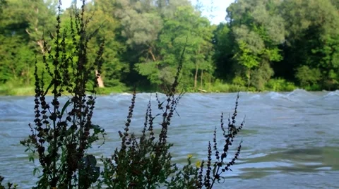 Flooded river in the back 스톡 동영상 40615603