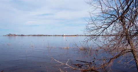 Flooded river banks with tree, branches, tall grass in water. Cargo boat and Stock Footage 130986050
