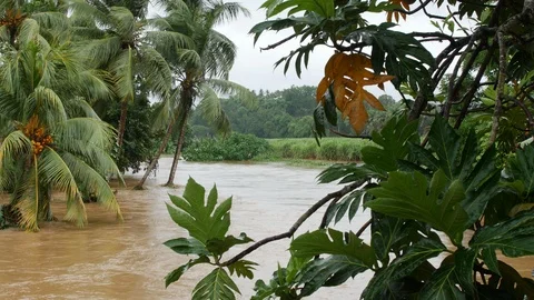 Flooded river because of ELSA Hurricane, ELSA Cyclone , Rivière Salée, Martiniqu Stock Footage 114828293