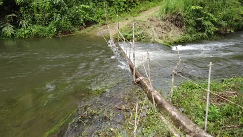 Flooded river crossing between jungle villages Video stock 132382549