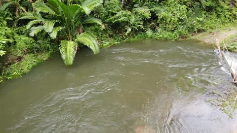 Flooded river crossing between jungle villages Video stock 132382550