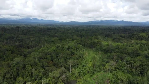 Flooded river crossing between jungle villages Video stock 132382692