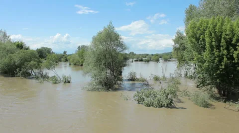 Flooded river flowing through forest and meadow Stock Footage 38462448
