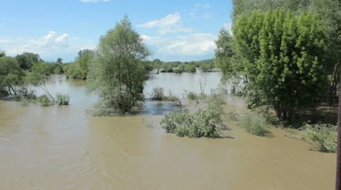 Flooded river flowing through forest and meadow Stock Footage 38489528