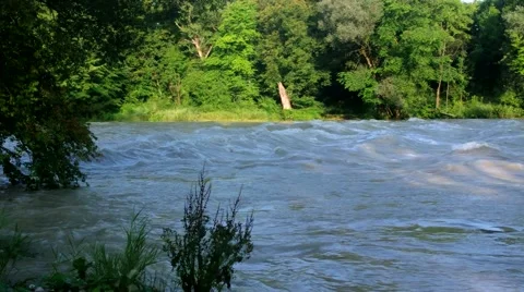 Flooded river in the morning 2 스톡 동영상 40615022
