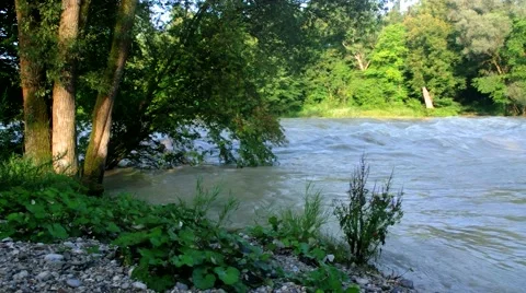 Flooded river in the morning 스톡 동영상 40615445