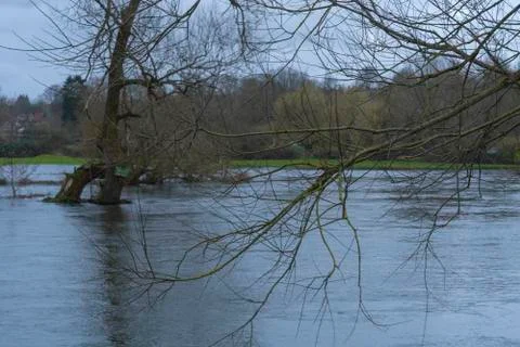 Flooded River Stock Photos