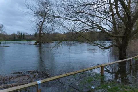 Flooded River Foto stock