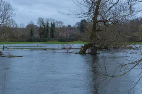 Flooded River Stock Photos