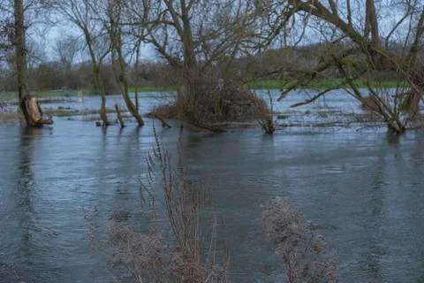 Flooded River Stock-Fotos