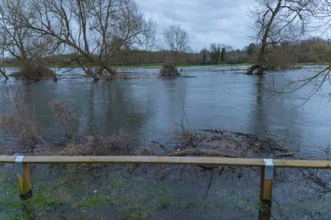 Flooded River Stock Photos
