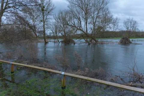 Flooded River Stock Photos