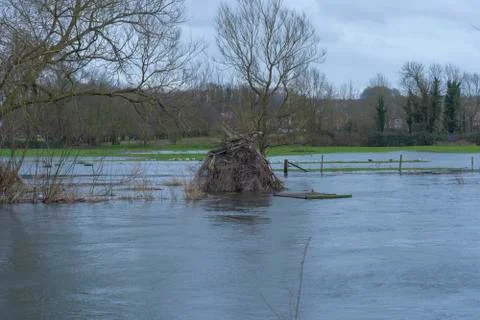 Flooded River Foto stock