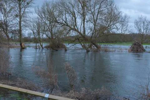 Flooded River Stock Photos