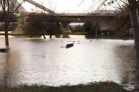 Flooded river Stock Photos