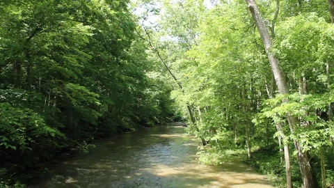 Flooded River Pours Through Devastating Forest Video stock 106675307