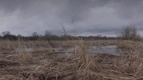 Flooded River in Prairie and Dramatic Sky Background.. 4K UltraHD, UHD Stock Footage 49136589