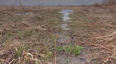Flooded River in Prairie and Dramatic Sky Background.. 4K UltraHD, UHD Stock Footage 49136616