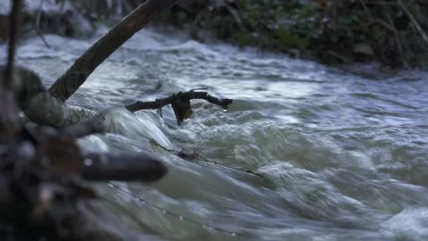 Flooded river with strong current and overflow Video stock 331036425