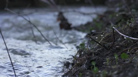 Flooded river with strong current and overflow Video stock 331036431