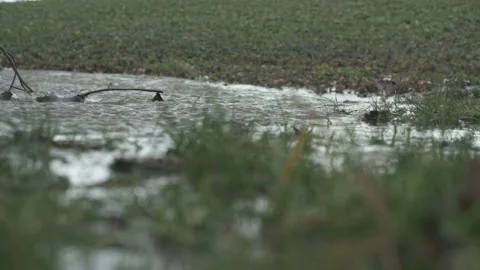 Flooded river with strong current and overflow Video stock 331038398