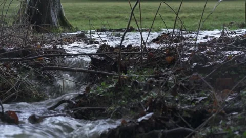 Flooded river with strong current and overflow Stock Footage 331038399