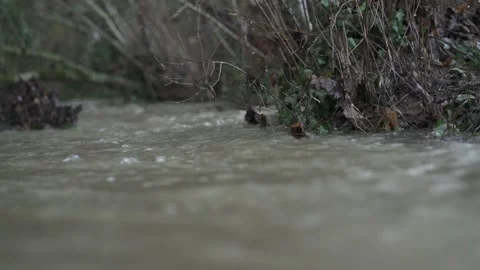 Flooded river with strong current and overflow Stock Footage 331038400