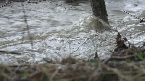 Flooded river with strong current and overflow Video stock 331038432