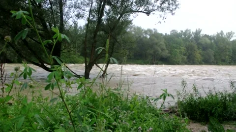 Flooded river with a tree 스톡 동영상 40615572