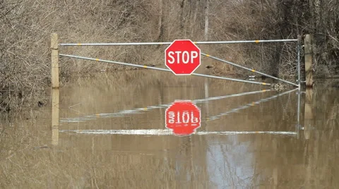 Flooded road 動画素材 1106895