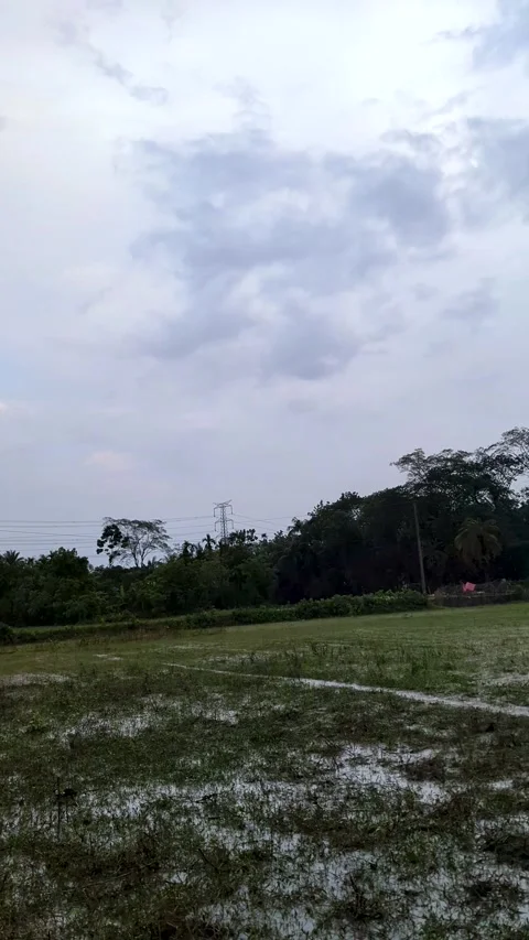 Flooded Rural Farmland Under Dramatic Monsoon Clouds, Rainwater Covered Agr.. Video stock 336919504