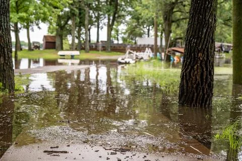 Flooded section of sidewalk in a tree-lined park path Foto stock