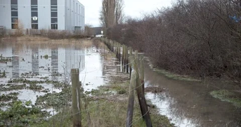 Flooded shipyard "Lux"  tilt up 動画素材 147752365