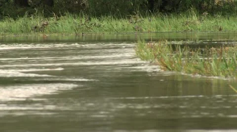 Flooded Sidewalk 動画素材 11143865