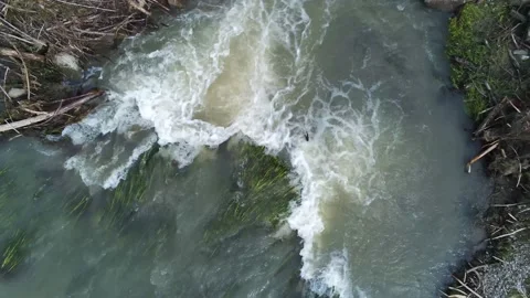Flooded small mountain river close up Stock Footage 156510546