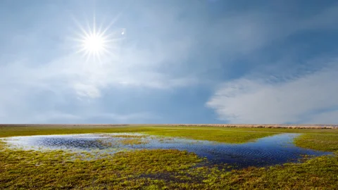 Flooded spring prairie under a sparkle sun, seasonal outdoor  time lapse scene Stock Footage 197480253