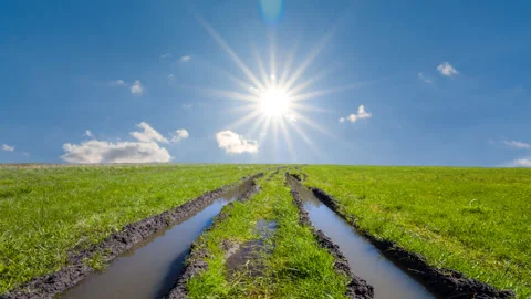 Flooded spring prairie under a sparkle sun Vídeos de archivo 231987761