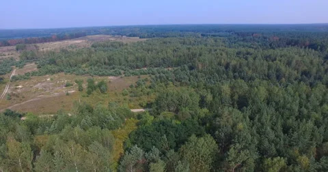 Flooded stone quarry in the woods of Eastern Europe Stock Footage 65554622