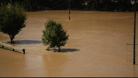 Flooded Stop Sign 스톡 동영상 8649379