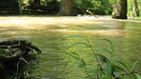Flooded Stream Moving Water Quickly Stock-Footage 106675251