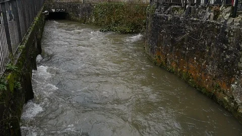 A flooded stream in Slow Motion Stock Footage 126713930