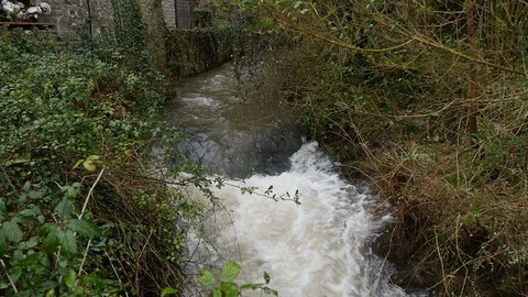 Flooded stream in Slow Motion Stock Footage 126713997