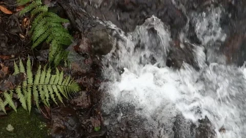 Flooded stream in the winter season Stock Footage 146230438