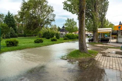 Flooded terrain in balaton Stock Photos