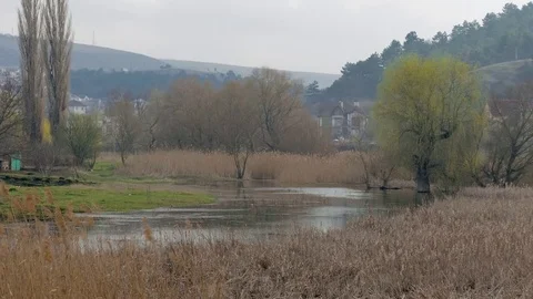 Flooded trees during high water Stock Footage 73553318