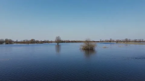 Flooded trees during a period of high water. Stock Footage 158312458